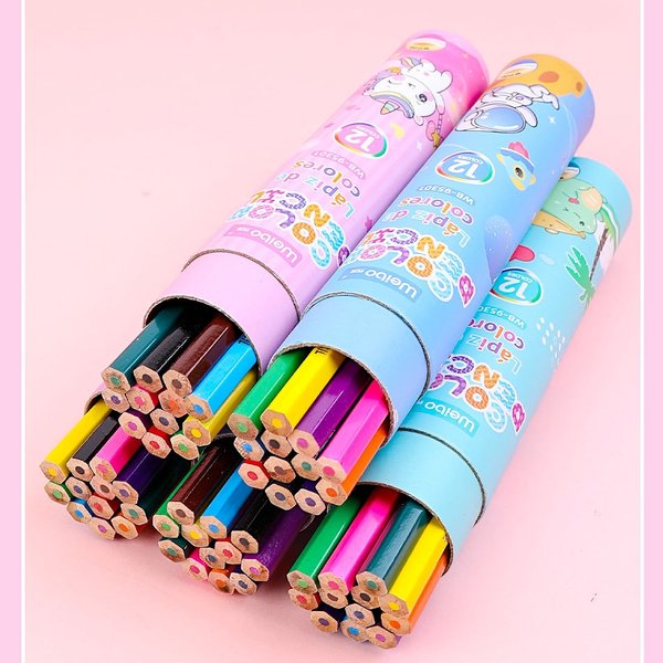 12 pcs Colour Pencils in Cylinder Holder